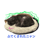 イカちゃん♡（個別スタンプ：8）