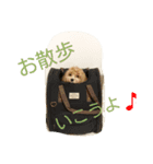マルプーの諭吉くん（個別スタンプ：4）
