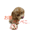 マルプーの諭吉くん（個別スタンプ：6）