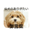 マルプーの諭吉くん（個別スタンプ：7）