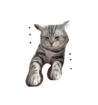 ねこさんと人生（個別スタンプ：2）