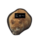まぁちゃんスタンプ（個別スタンプ：7）
