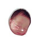 shinjofamilystamp（個別スタンプ：1）