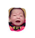 shinjofamilystamp（個別スタンプ：2）