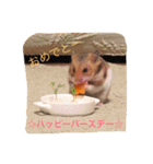 ハムスターマロンの日常2（個別スタンプ：7）