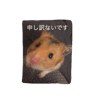 ハムスターマロンの日常2（個別スタンプ：12）