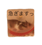ハムスターマロンの日常2（個別スタンプ：14）