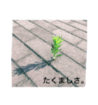 利用シーン少なめ（個別スタンプ：1）