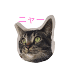 ゲン文字（個別スタンプ：3）