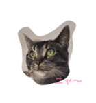 ゲン文字（個別スタンプ：4）