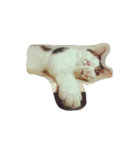 ナカムラねこ（個別スタンプ：7）