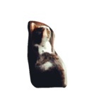 ナカムラねこ（個別スタンプ：17）