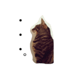 ナカムラねこ（個別スタンプ：18）