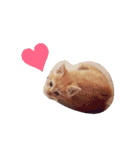 ナカムラねこ（個別スタンプ：31）