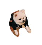 ナカムラねこ（個別スタンプ：32）