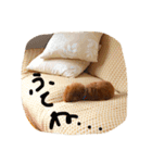 トイプーえーきち（個別スタンプ：6）