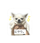 ①ちろるだらけ。（個別スタンプ：3）