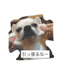 ①ちろるだらけ。（個別スタンプ：4）