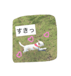 ①ちろるだらけ。（個別スタンプ：14）