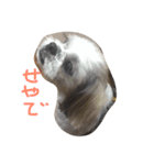 ちょい冷めてる犬（個別スタンプ：5）