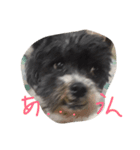 ちょい冷めてる犬（個別スタンプ：6）