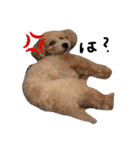 ゆる〜犬（個別スタンプ：2）