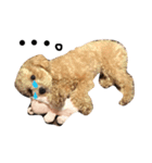 ゆる〜犬（個別スタンプ：3）