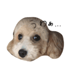ゆる〜犬（個別スタンプ：5）