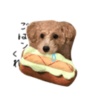 ゆる〜犬（個別スタンプ：7）