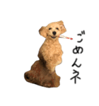 ゆる〜犬（個別スタンプ：14）