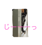 レイと動物（個別スタンプ：1）