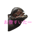レイと動物（個別スタンプ：5）