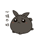 black black rabbit 3（個別スタンプ：3）