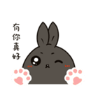 black black rabbit 3（個別スタンプ：4）