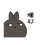 black black rabbit 3（個別スタンプ：5）