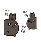 black black rabbit 3（個別スタンプ：29）