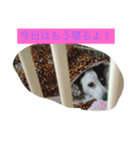 日常のまる（個別スタンプ：2）