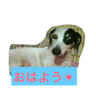 日常のまる（個別スタンプ：3）