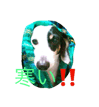 日常のまる（個別スタンプ：4）