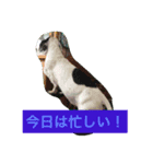 日常のまる（個別スタンプ：6）