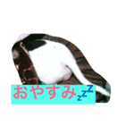 日常のまる（個別スタンプ：7）