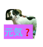 日常のまる（個別スタンプ：8）