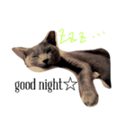 チッタ！！（個別スタンプ：7）