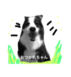 ボーダーコリーのピノ（個別スタンプ：6）