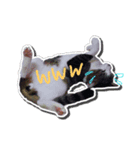 ミィ＆ニャニャ（個別スタンプ：7）