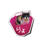 ミィ＆ニャニャ（個別スタンプ：8）