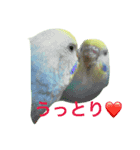 ピーピーピーちゃん（個別スタンプ：7）