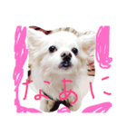 moko is very cute！（個別スタンプ：7）