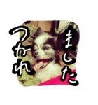 クッキー！！！！（個別スタンプ：4）