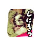クッキー！！！！（個別スタンプ：5）
